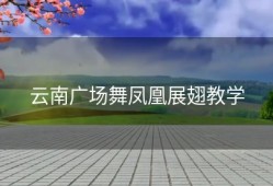 云南广场舞凤凰展翅教学