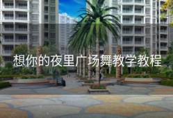 想你的夜里广场舞教学教程