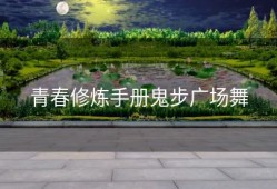 青春修炼手册鬼步广场舞