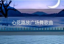 心花路放广场舞歌曲