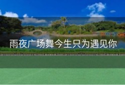 雨夜广场舞今生只为遇见你