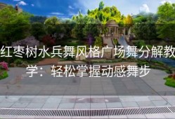 红枣树水兵舞风格广场舞分解教学：轻松掌握动感舞步