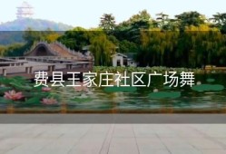 费县王家庄社区广场舞