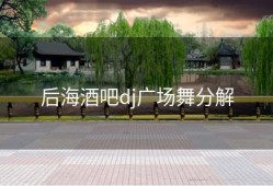 后海酒吧dj广场舞分解
