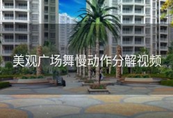 美观广场舞慢动作分解视频