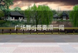 广场舞dj哥要闯一闯