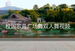 校园歌曲广场舞双人舞视频