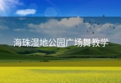 海珠湿地公园广场舞教学