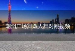 潮州广场舞双人舞对跳视频