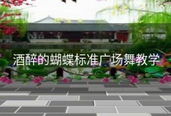 酒醉的蝴蝶标准广场舞教学