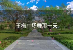 王梅广场舞那一天