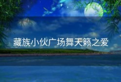 藏族小伙广场舞天籁之爱