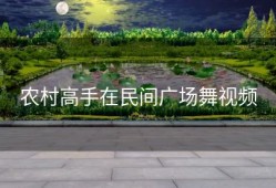 农村高手在民间广场舞视频