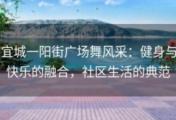宜城一阳街广场舞风采：健身与快乐的融合，社区生活的典范
