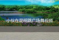 小伙在昆明跳广场舞视频