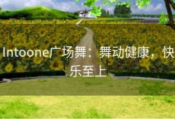 Intoone广场舞：舞动健康，快乐至上