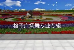 格子广场舞专业专辑