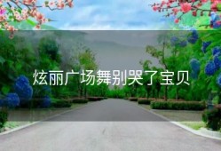 炫丽广场舞别哭了宝贝