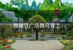 舞糖豆广场舞马背上