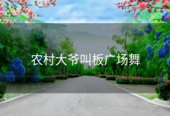 农村大爷叫板广场舞