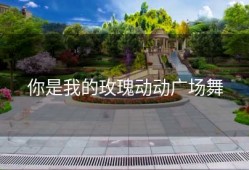 你是我的玫瑰动动广场舞