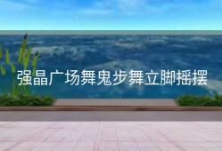 强晶广场舞鬼步舞立脚摇摆