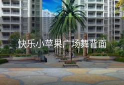 快乐小苹果广场舞背面