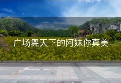 广场舞天下的阿妹你真美