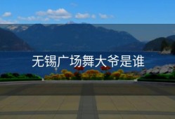 无锡广场舞大爷是谁