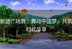 新唐广场舞：舞动中国梦，共筑时代华章