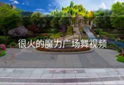 很火的魔力广场舞视频