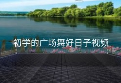 初学的广场舞好日子视频