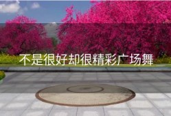 不是很好却很精彩广场舞