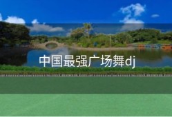 中国最强广场舞dj