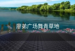 廖弟广场舞青草地