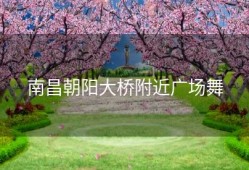 南昌朝阳大桥附近广场舞