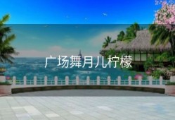 广场舞月儿柠檬