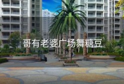 哥有老婆广场舞糖豆