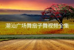 潮汕广场舞扇子舞视频全集