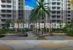上海姐妹广场舞视频教学
