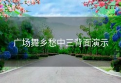 广场舞乡愁中三背面演示