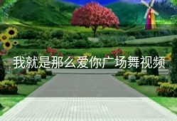 我就是那么爱你广场舞视频