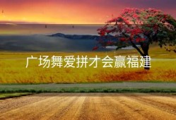 广场舞爱拼才会赢福建