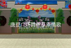 唐豆广场舞新草原情歌