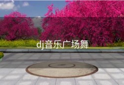 dj音乐广场舞