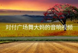 对付广场舞大妈的音响视频