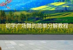 初学广场舞的简单分解教程