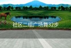 社区二组广场舞32步