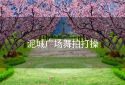 泥城广场舞拍打操