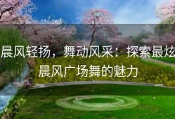 晨风轻扬，舞动风采：探索最炫晨风广场舞的魅力